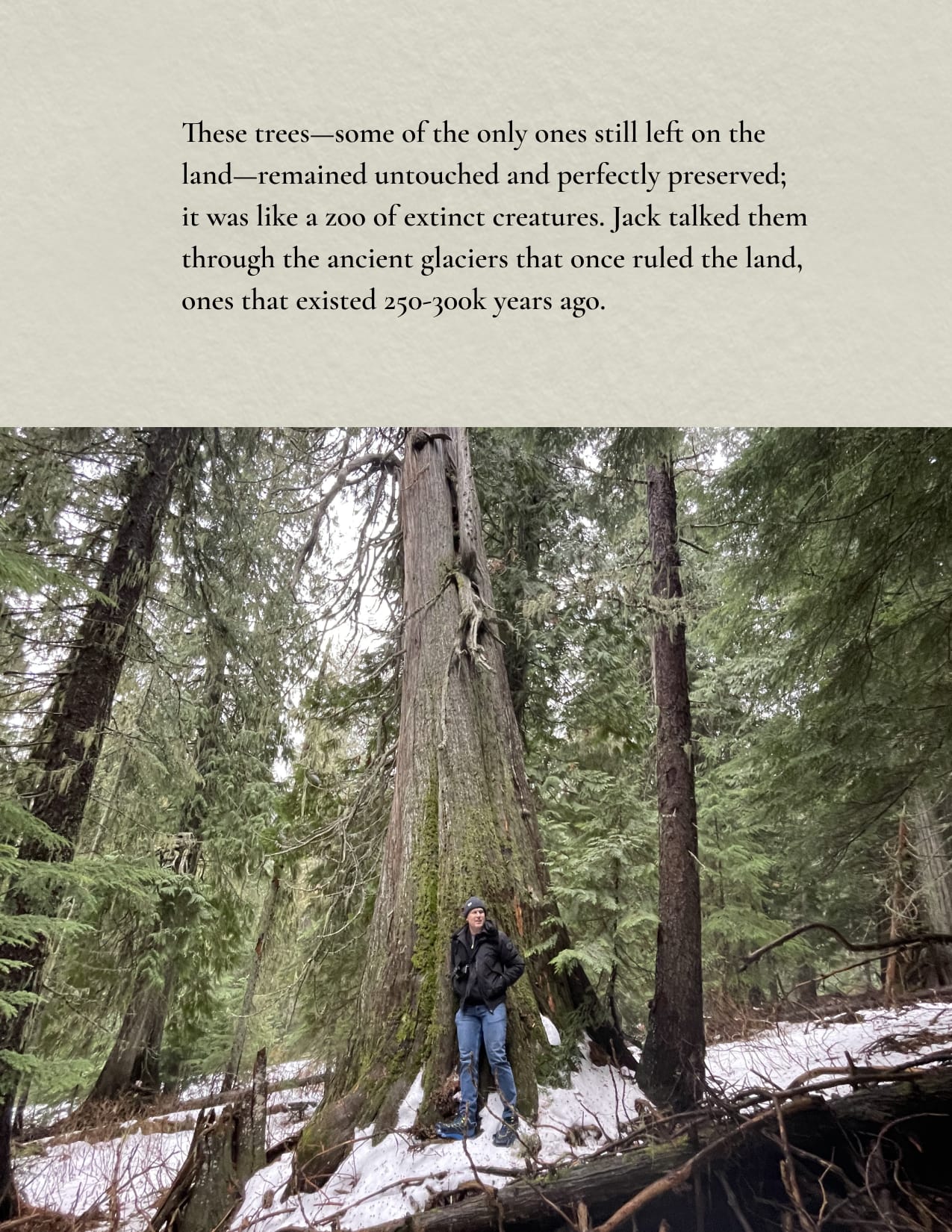 Train Dreams page 10