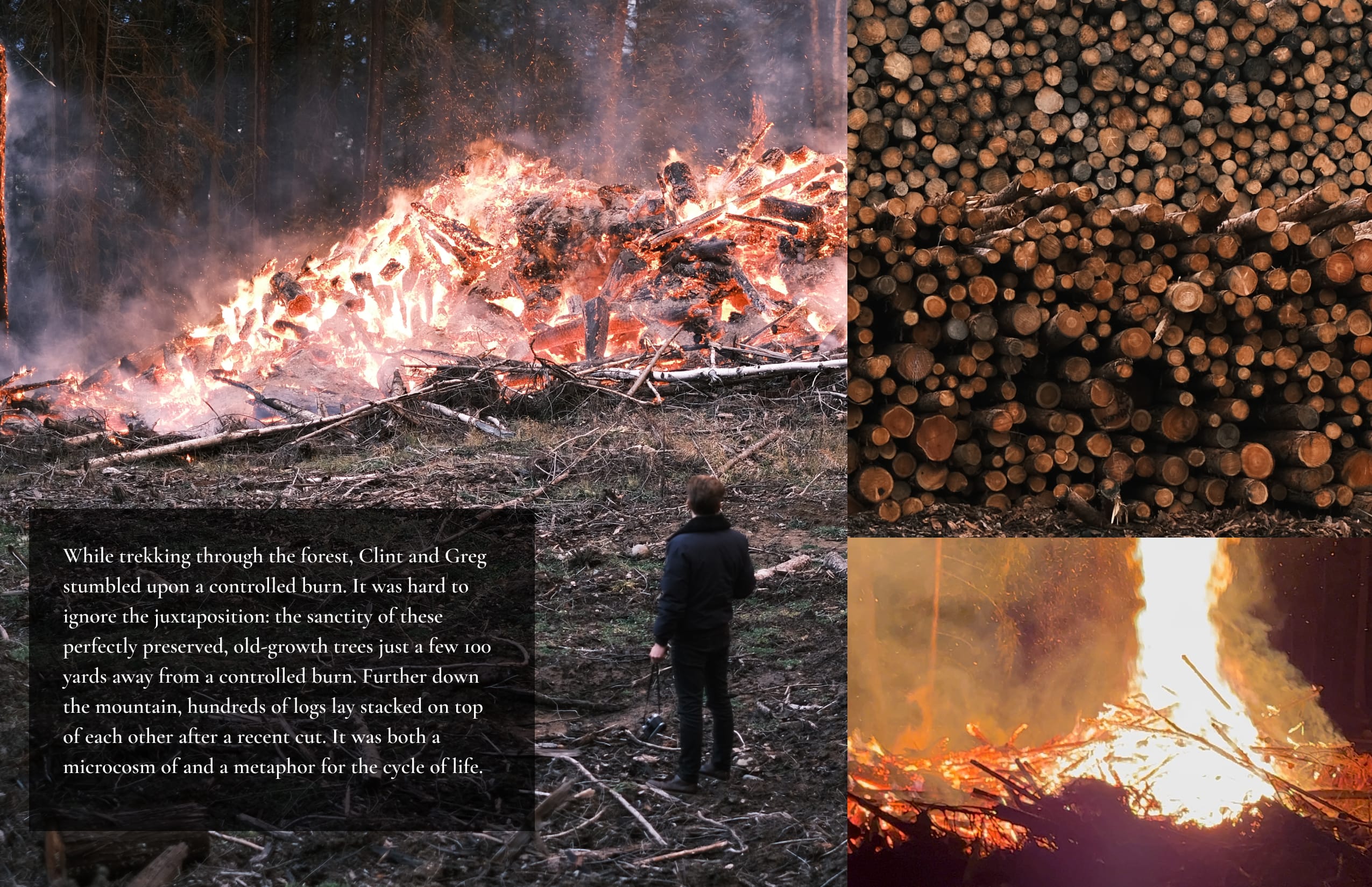 Train Dreams page 13-14