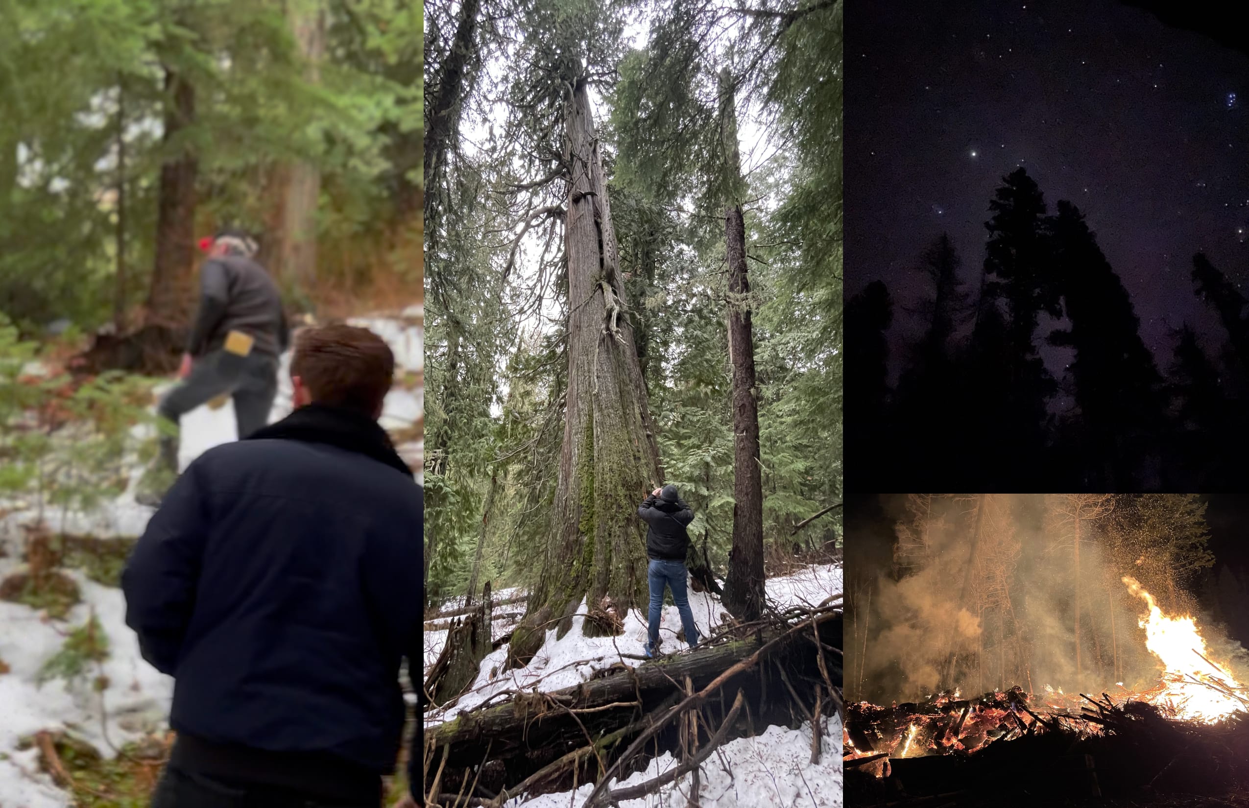 Train Dreams page 16-17