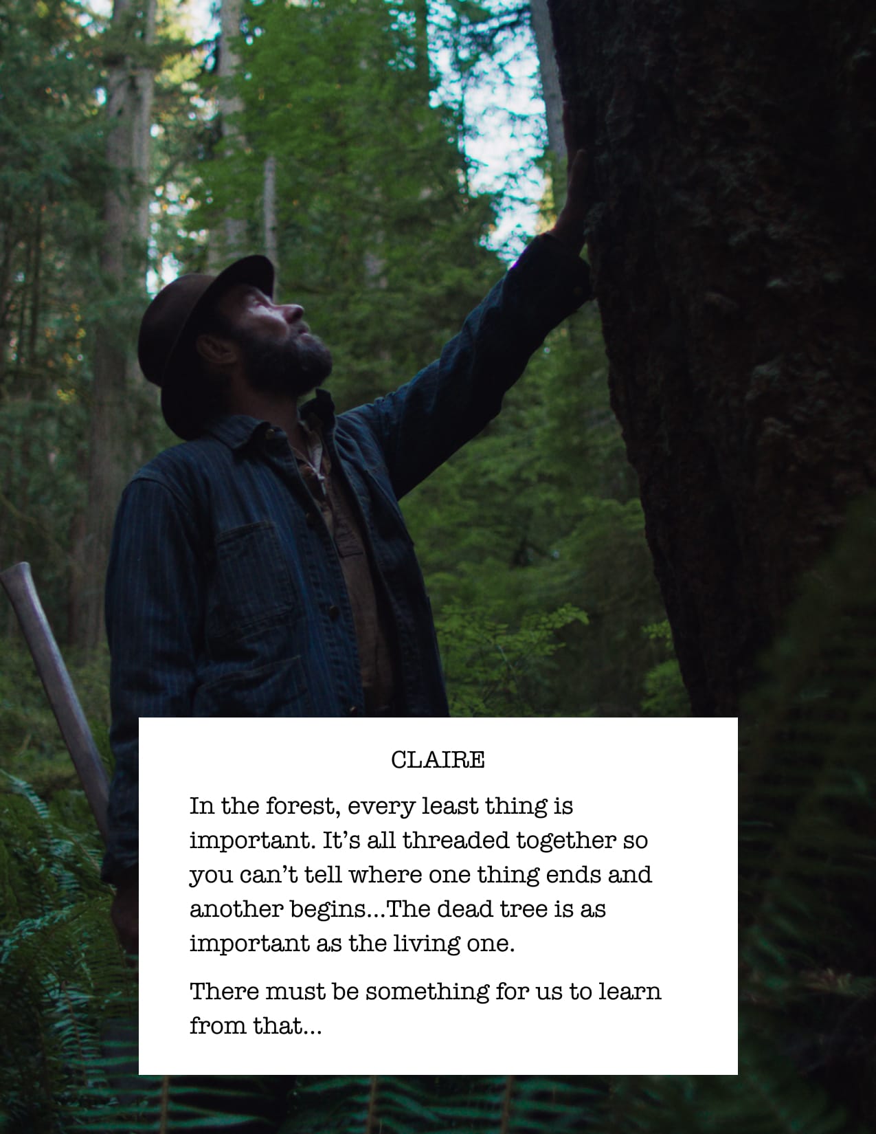 Train Dreams page 23