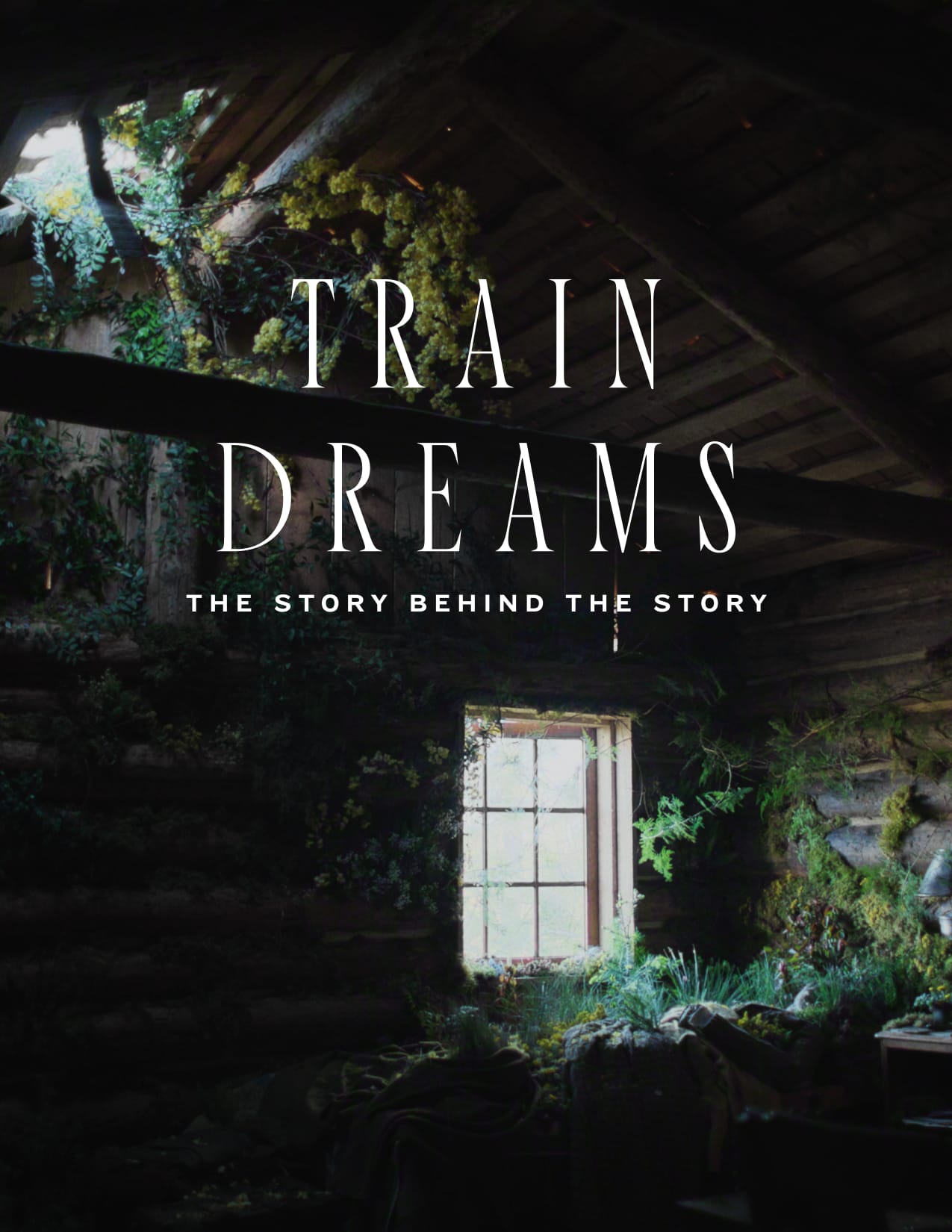 Train Dreams page TD-Pages-26-LastPage